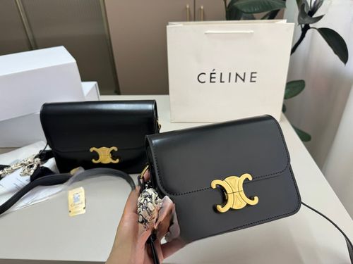 Celine Handbag 348