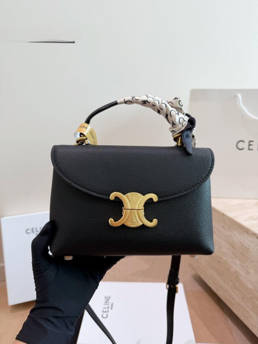 Celine Handbag 352