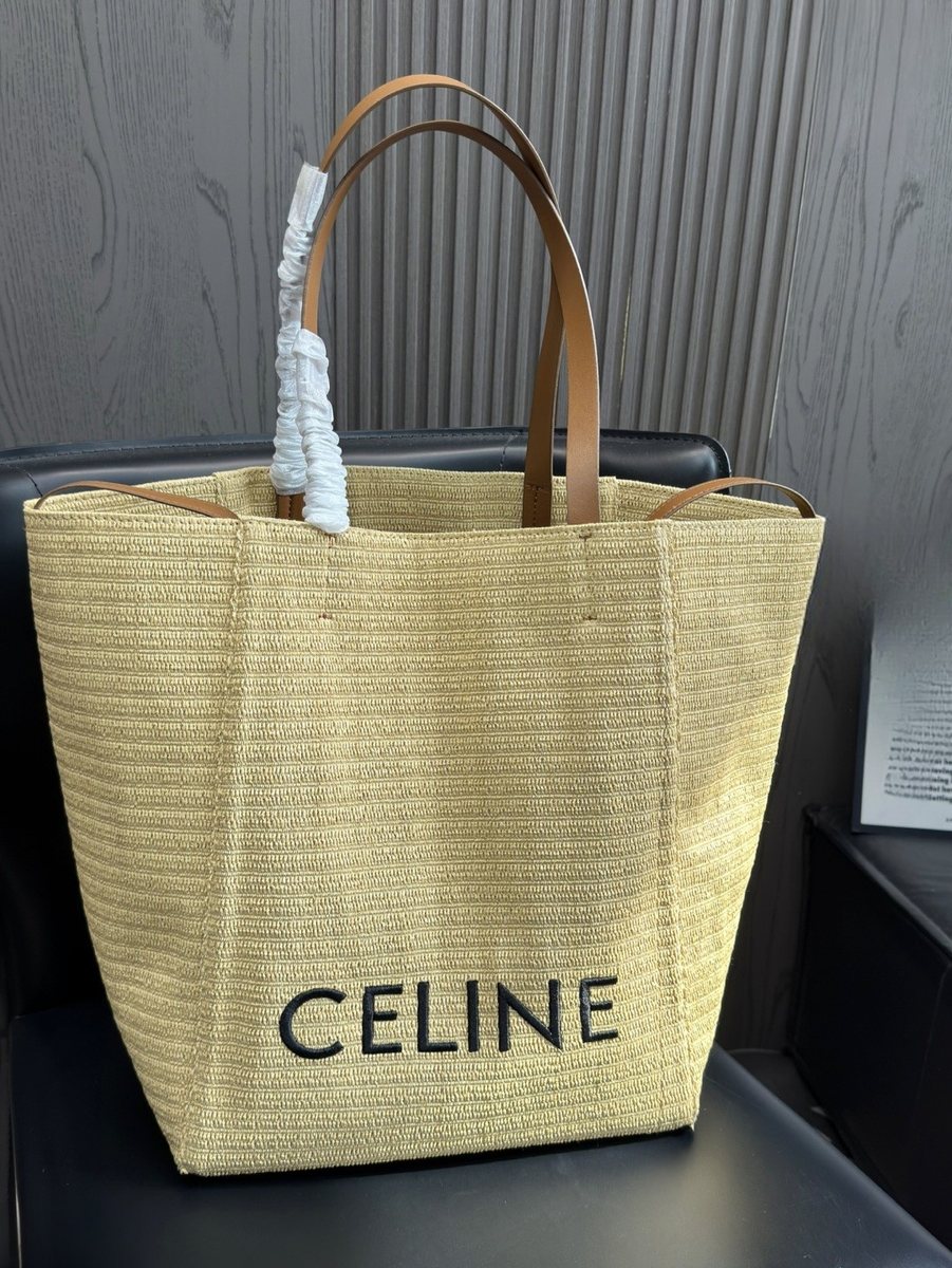 Celine Handbag 380