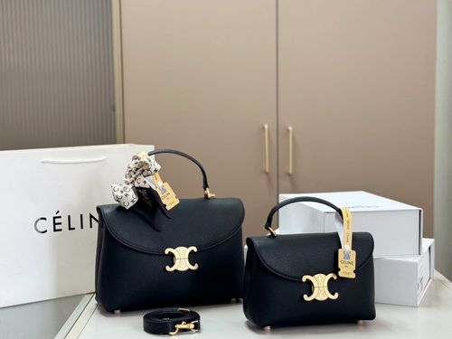 Celine Handbag 382