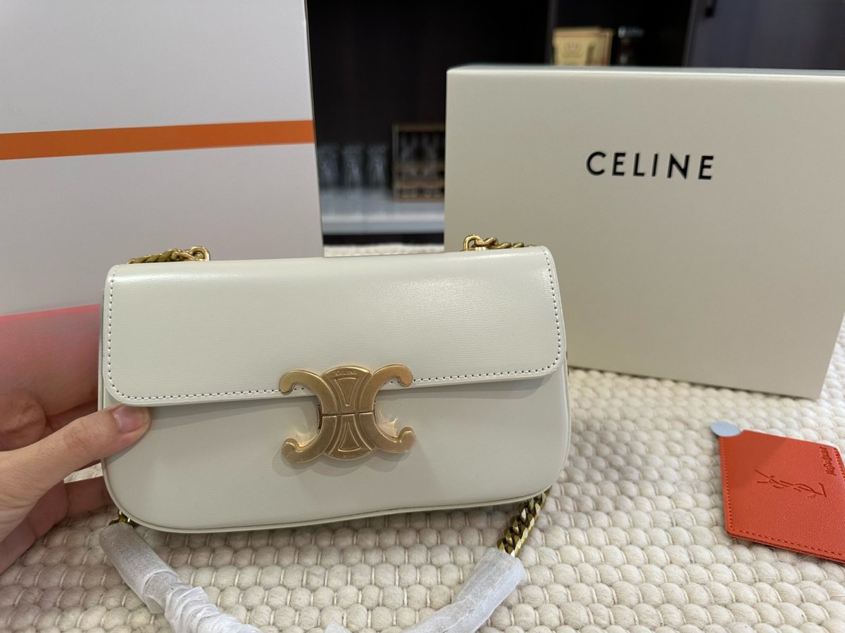 Celine Handbag 420