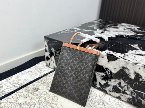 Celine Handbag 436