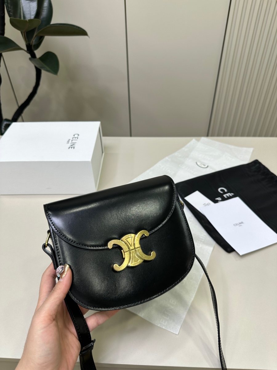 Celine Handbag 446