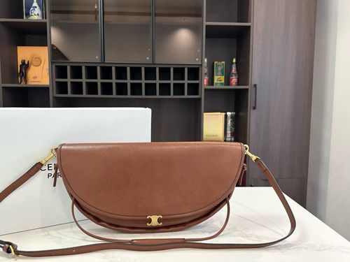 Celine Handbag 450