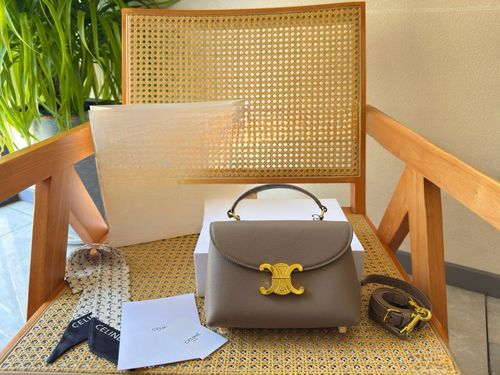 Celine Handbag 459