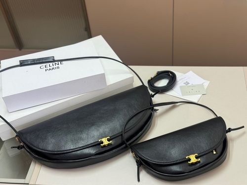 Celine Handbag 463