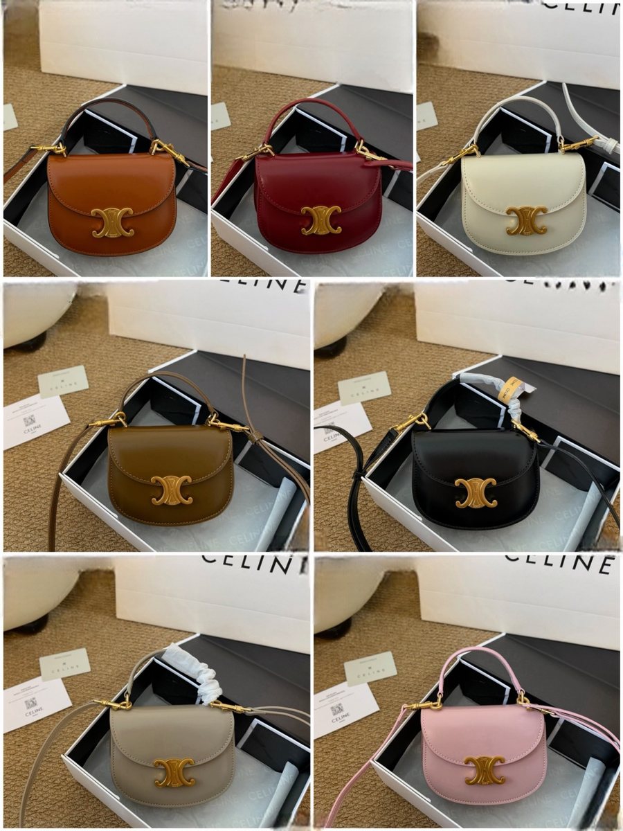 Celine Handbag 480