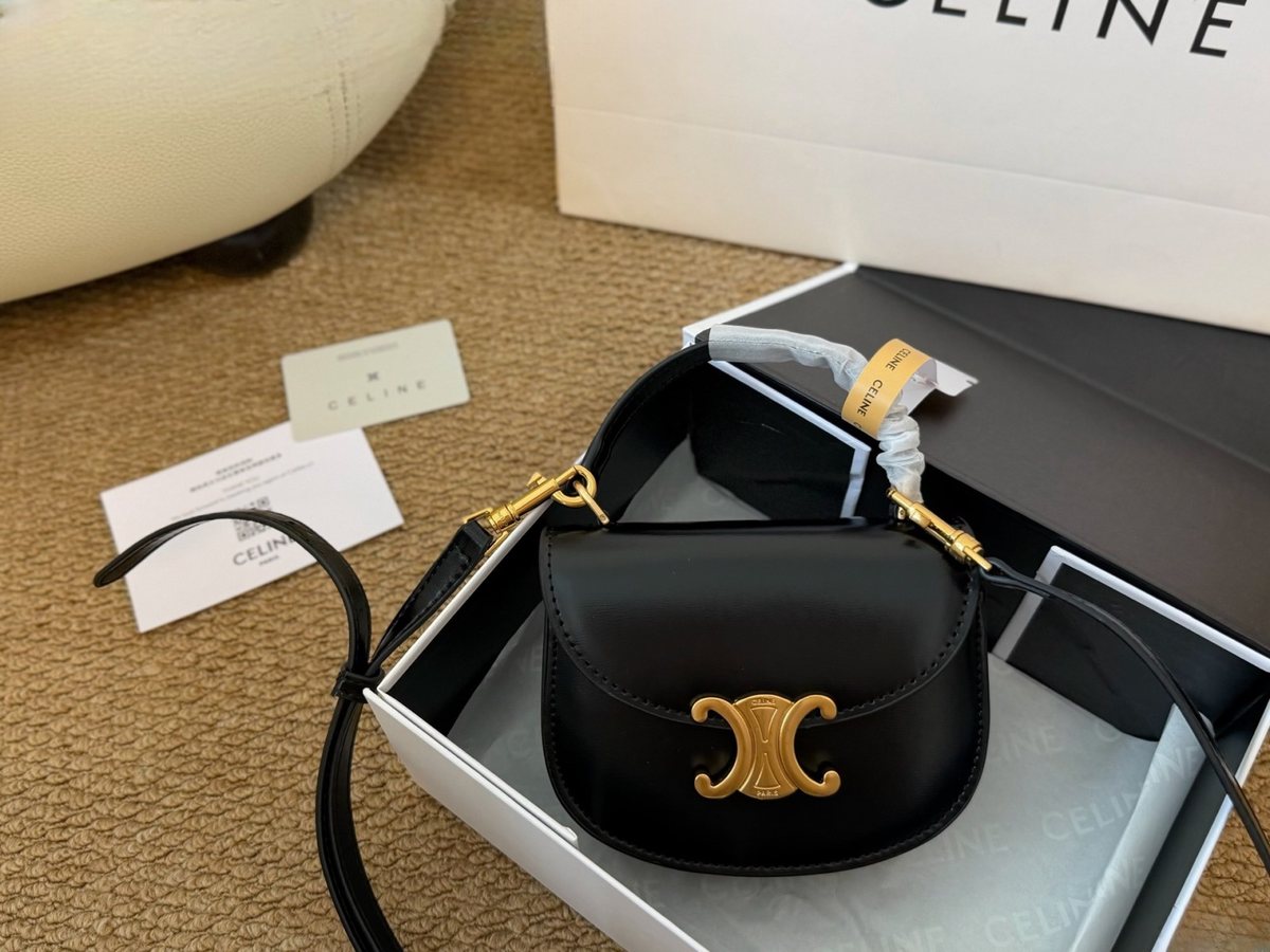 Celine Handbag 481