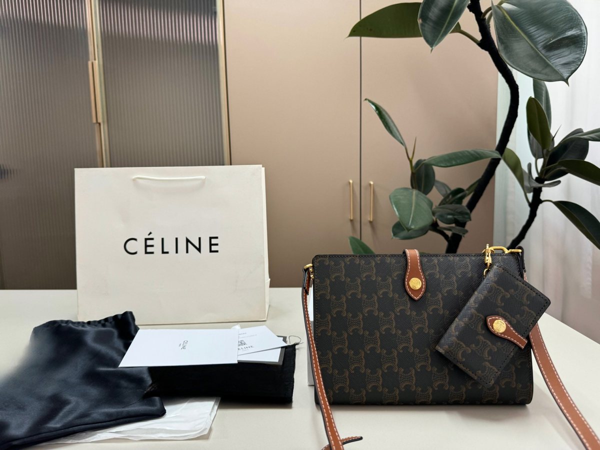 Celine Handbag 488