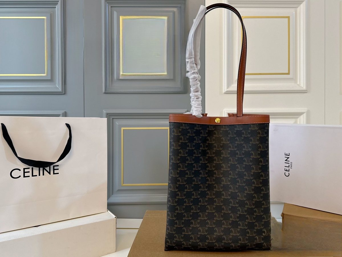 Celine Handbag 490