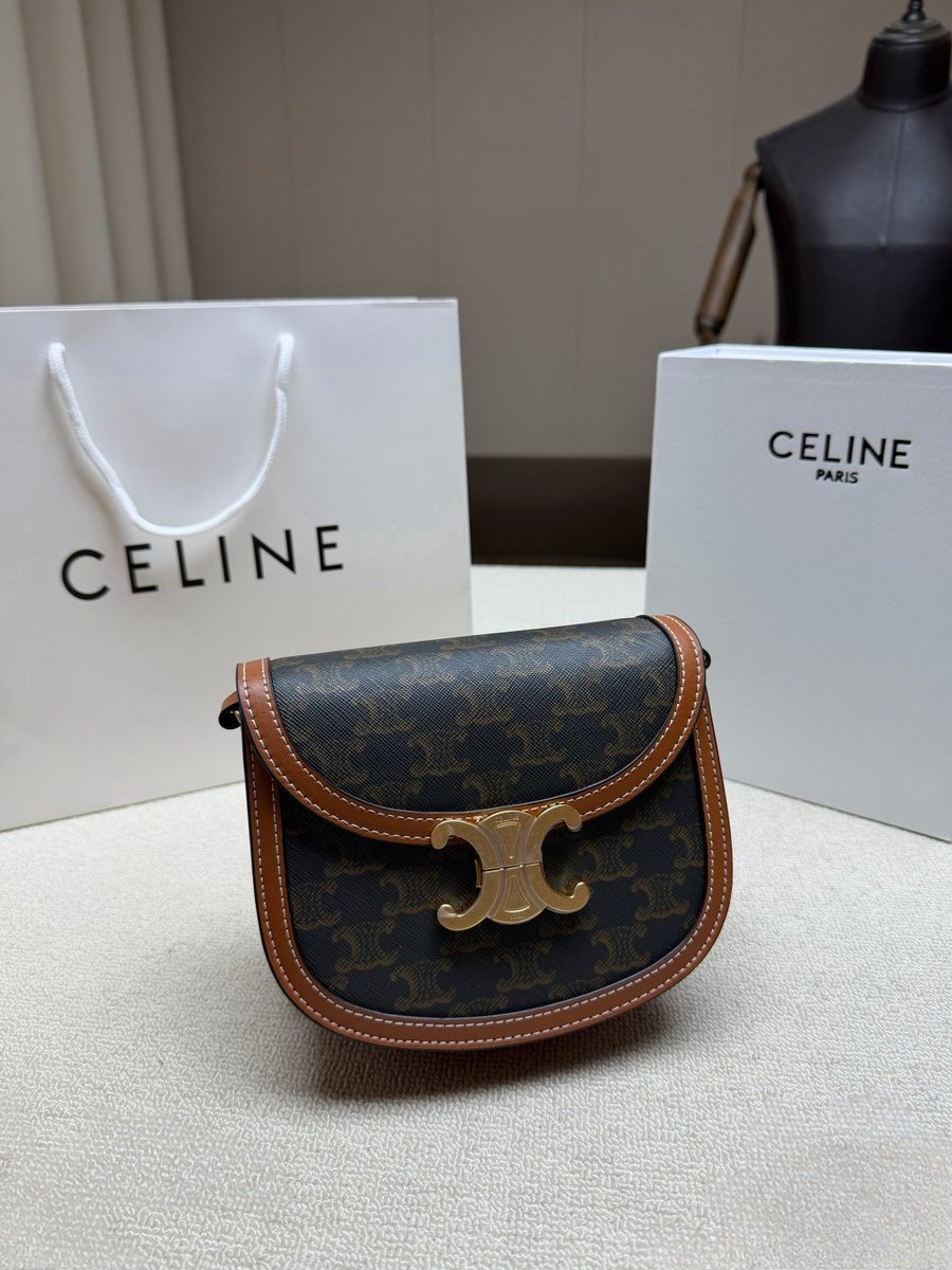 Celine Handbag 494