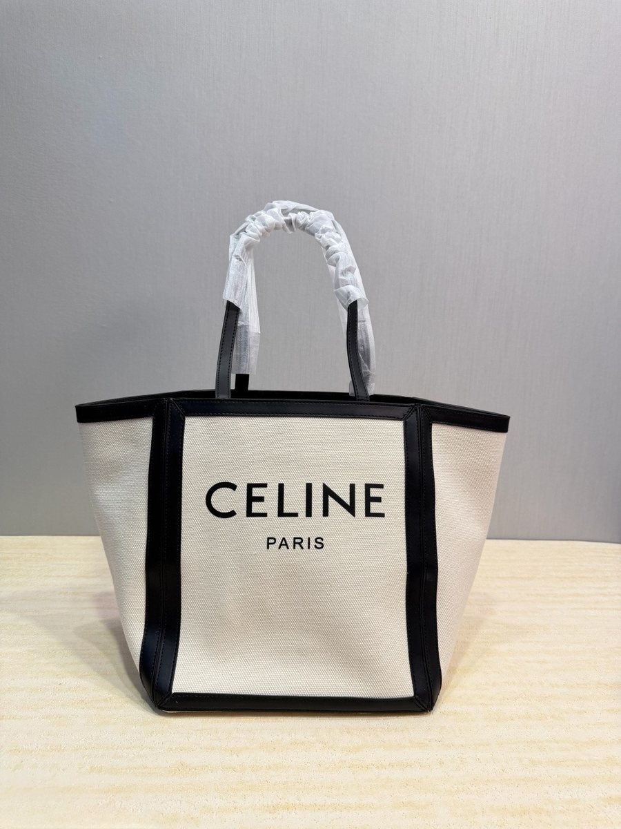 Celine Handbag 495