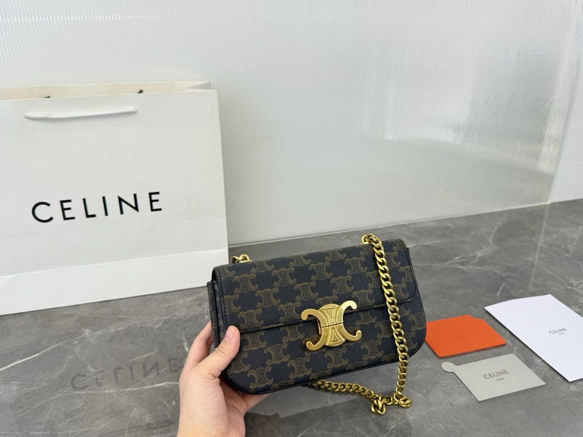 Celine Handbag 498
