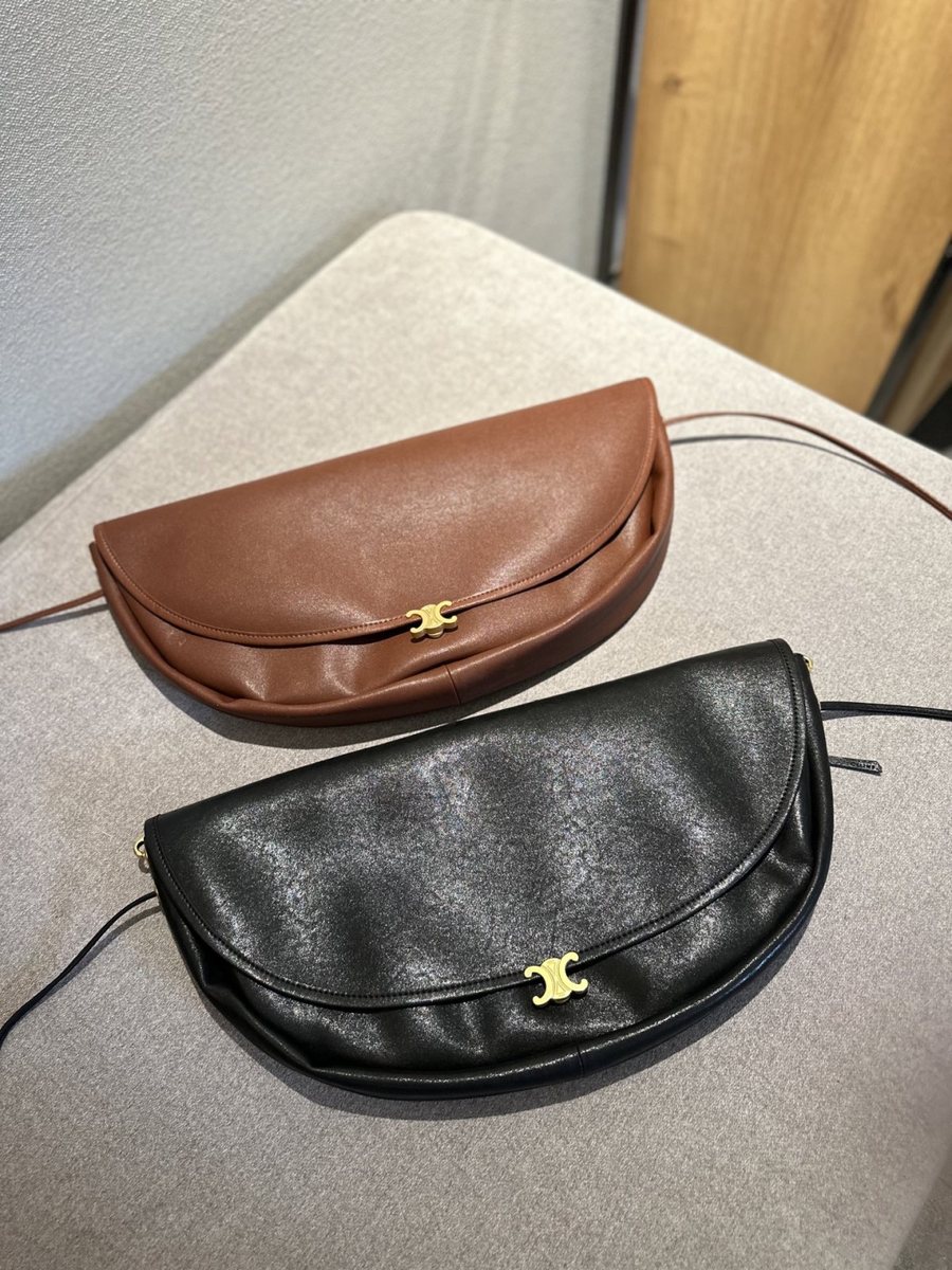 Celine Handbag 500