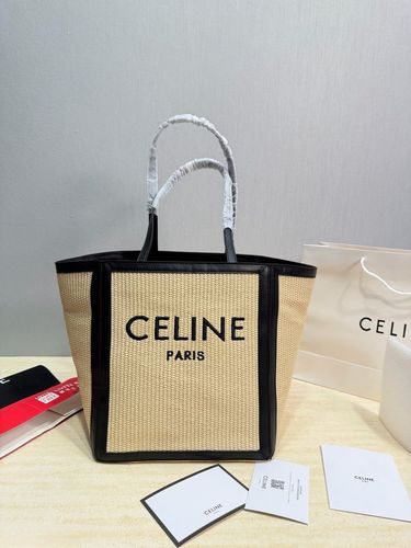 Celine Handbag 508