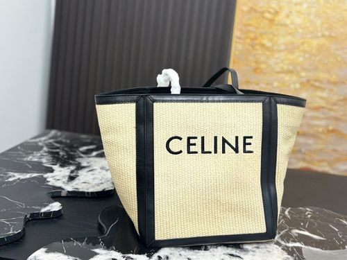 Celine Handbag 513
