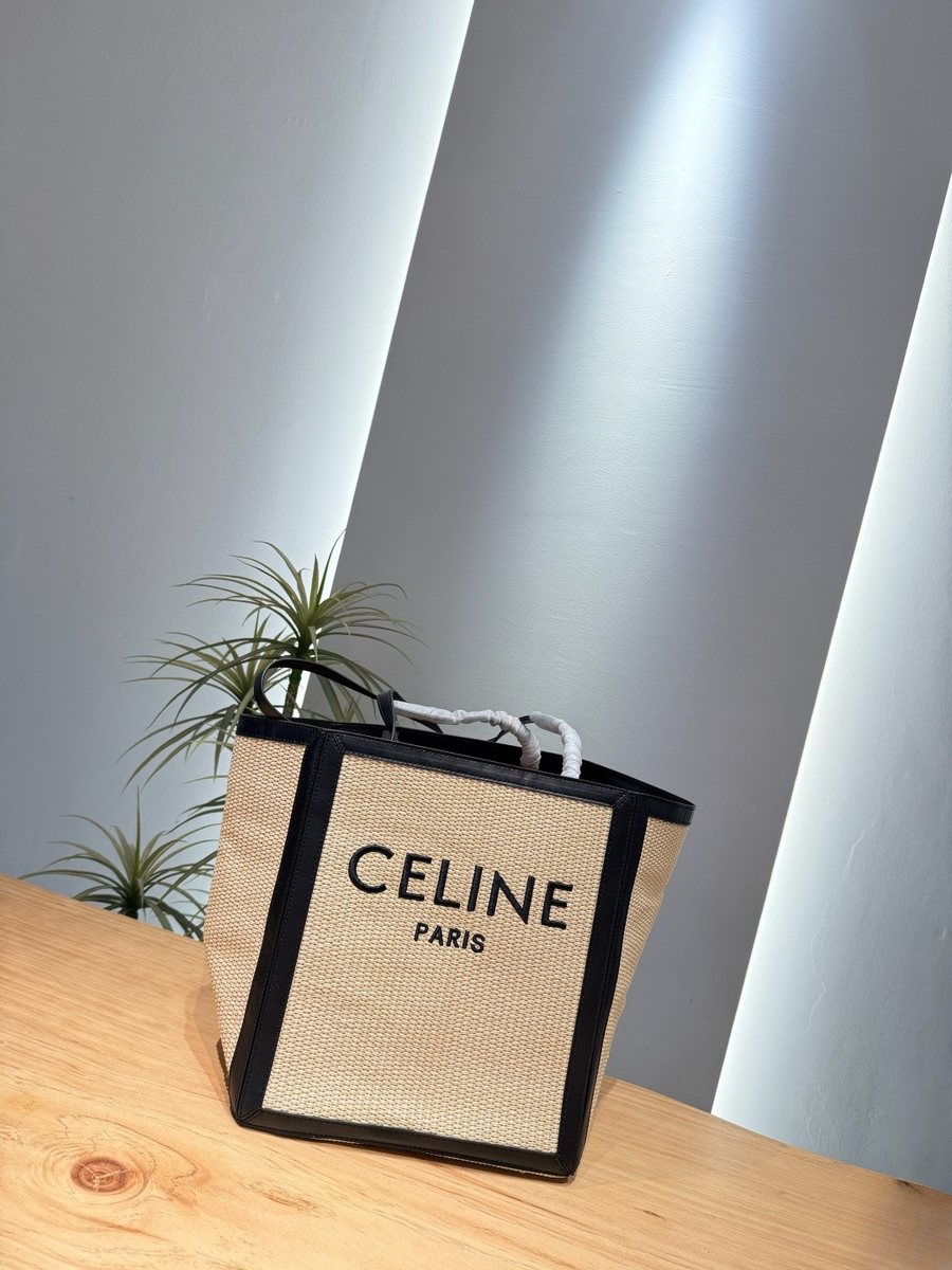 Celine Handbag 518