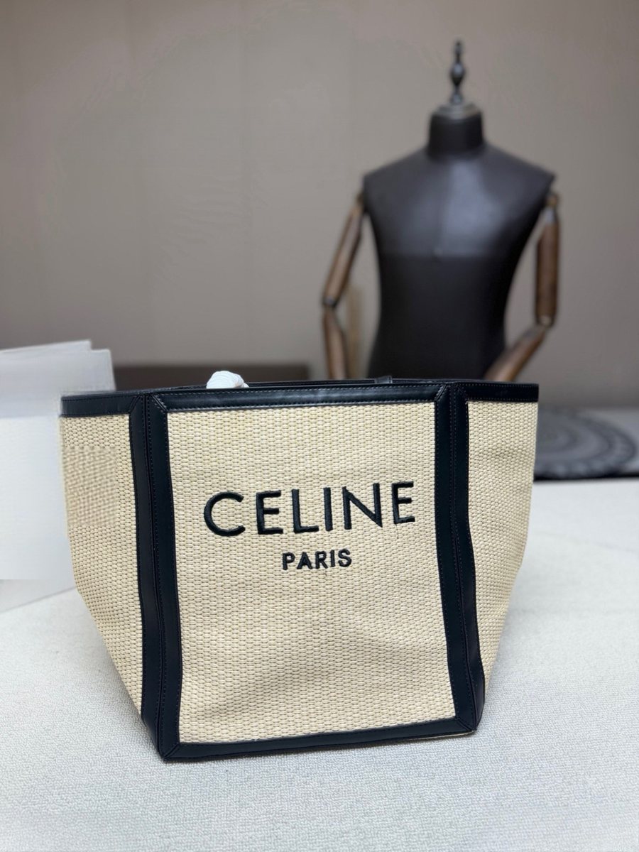 Celine Handbag 527