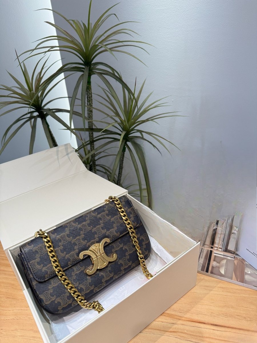 Celine Handbag 528
