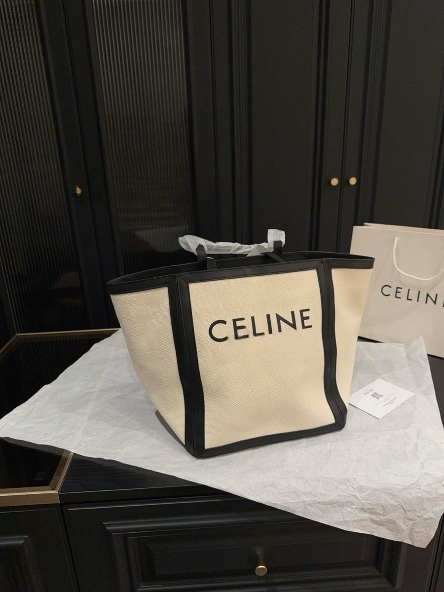Celine Handbag 529