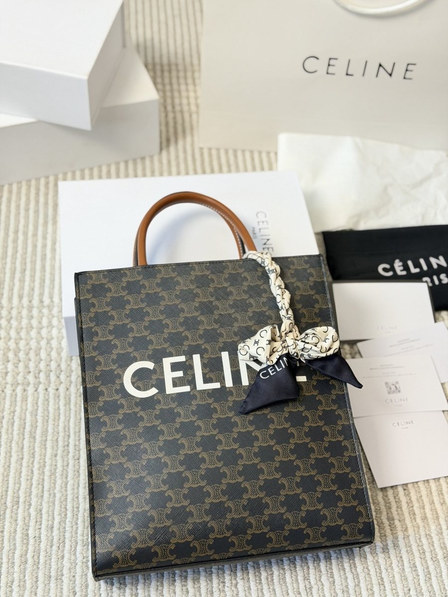 Celine Handbag 543