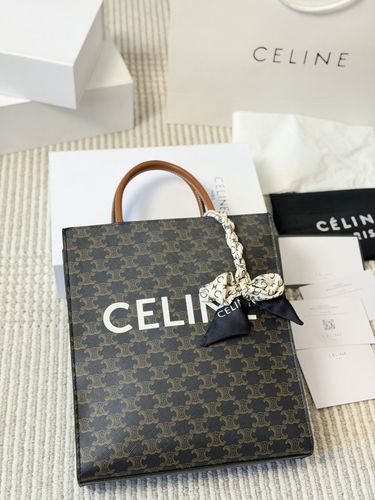 Celine Handbag 543