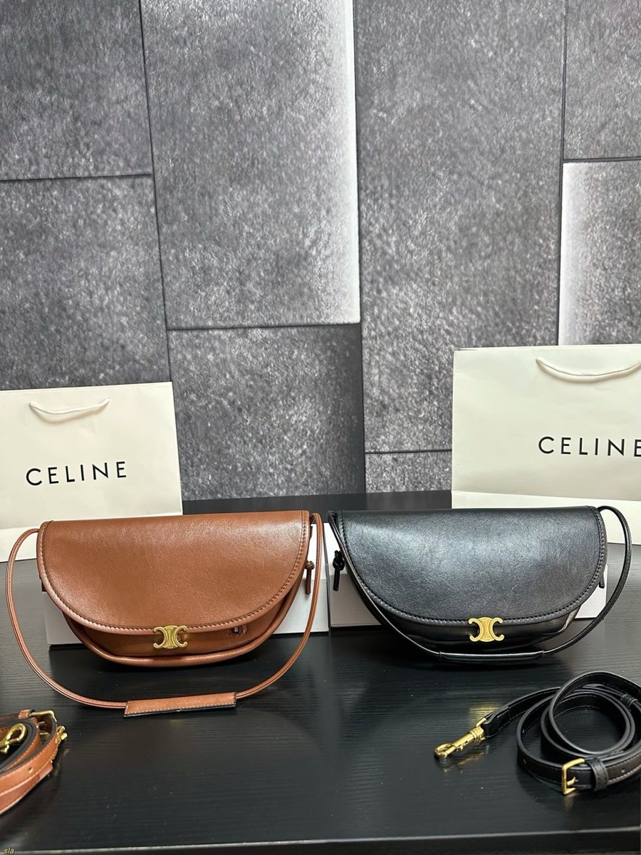 Celine Handbag 544