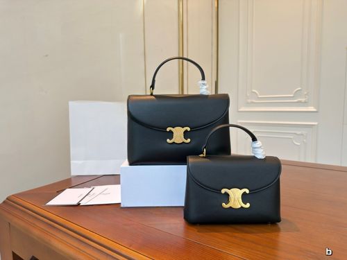 Celine Handbag 555