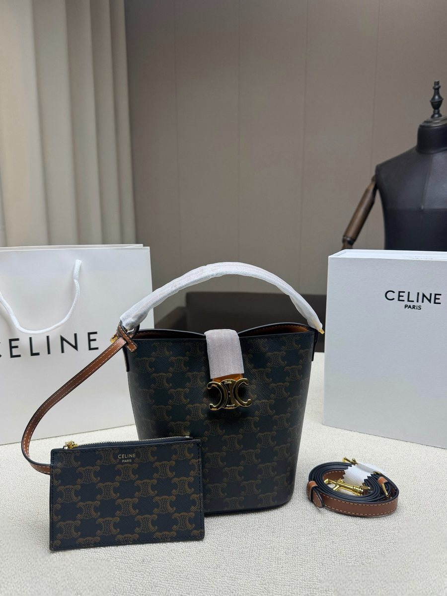 Celine Handbag 557