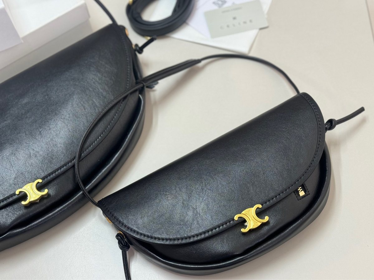 Celine Handbag 558