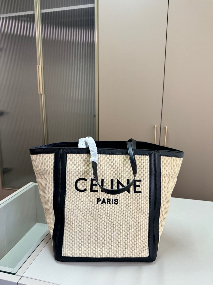 Celine Handbag 564