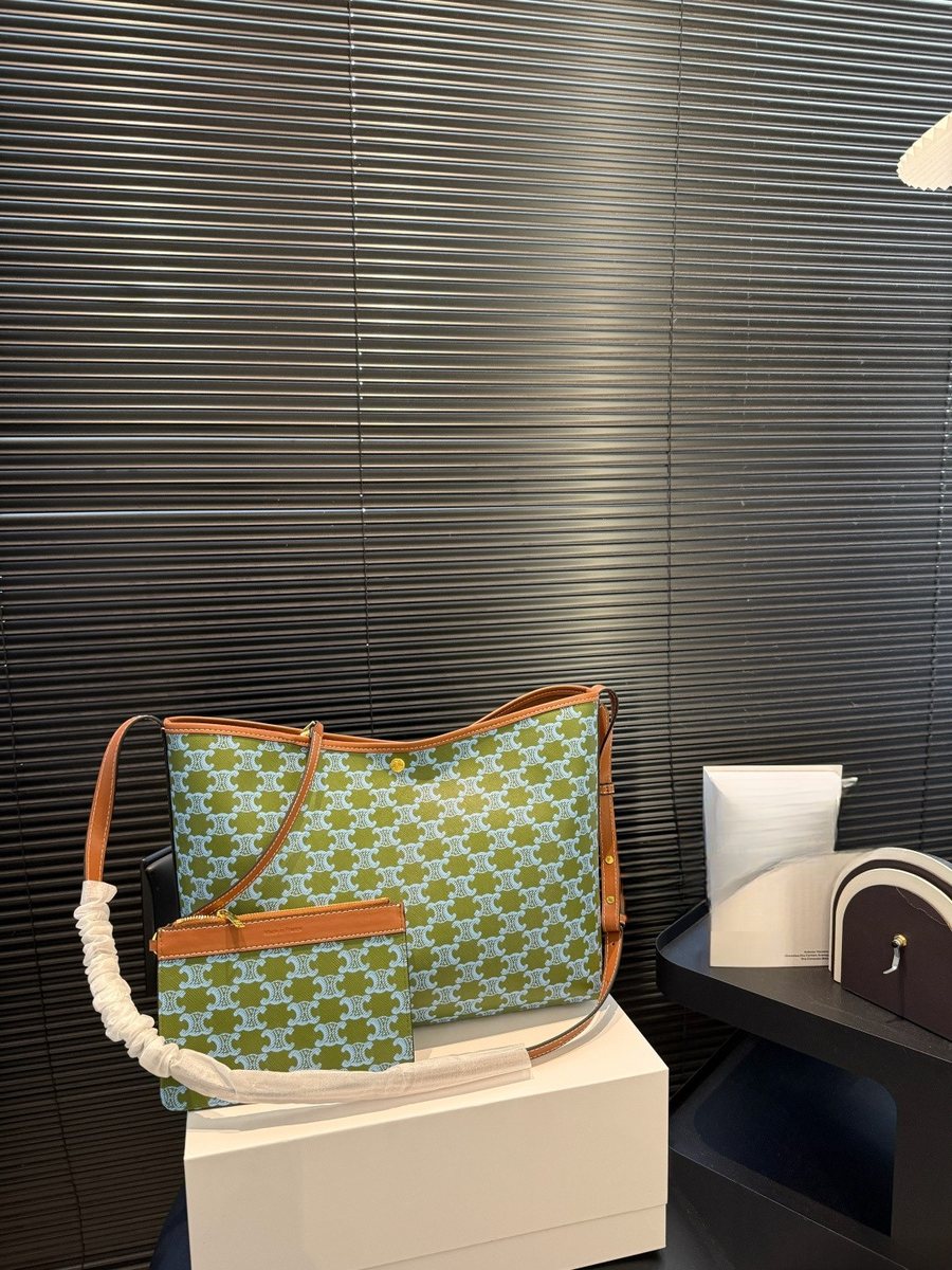 Celine Handbag 569