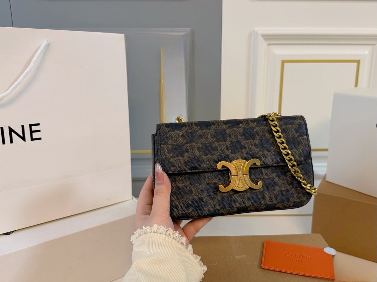 Celine Handbag 572