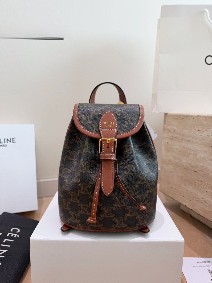 Celine Handbag 573