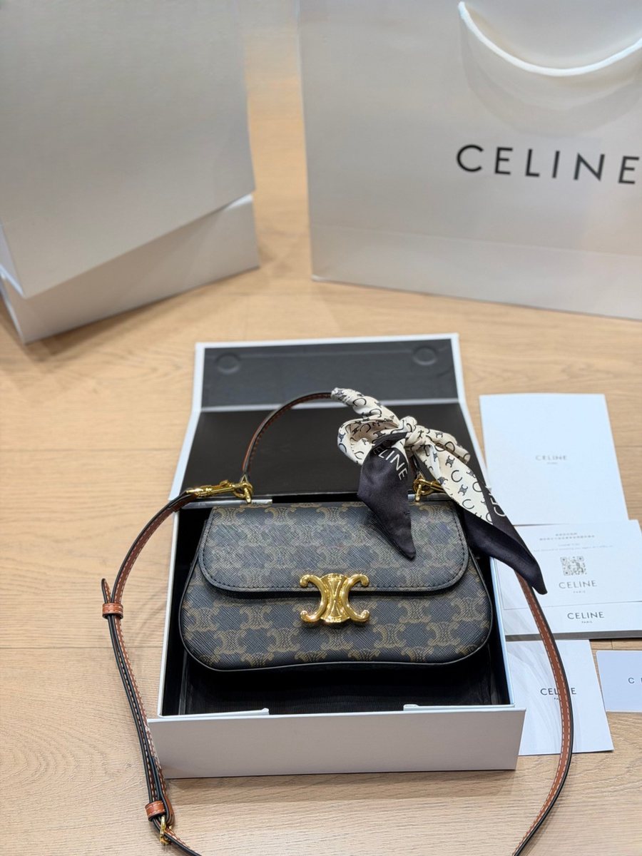 Celine Handbag 583