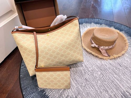 Celine Handbag 586