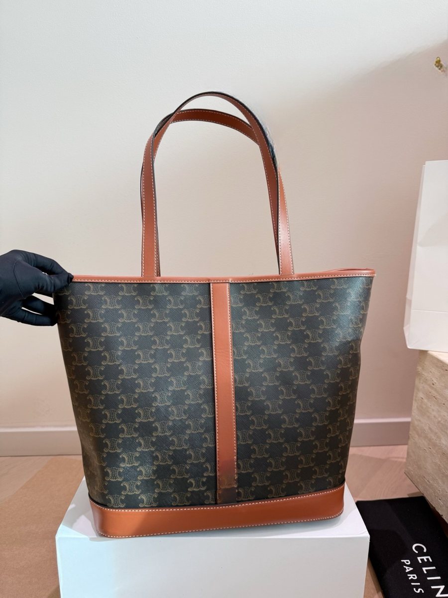 Celine Handbag 607