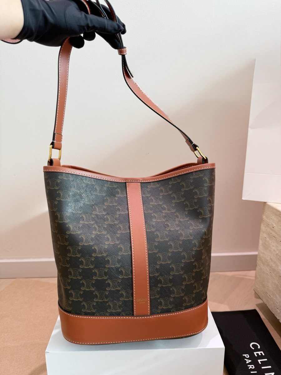 Celine Handbag 608