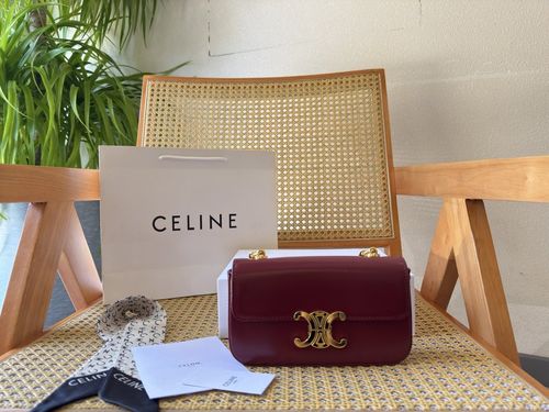 Celine Handbag 630