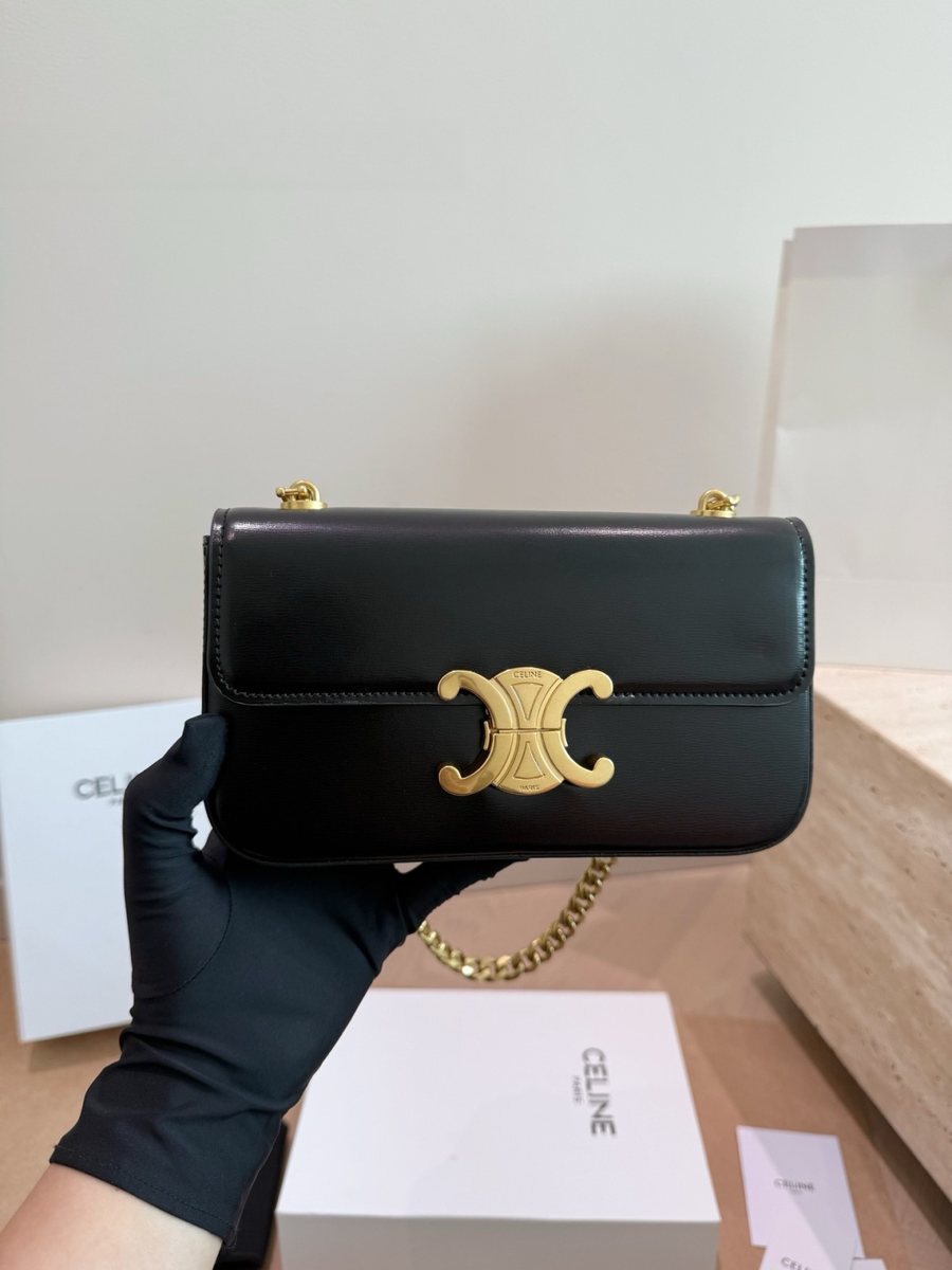 Celine Handbag 646