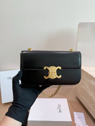 Celine Handbag 646