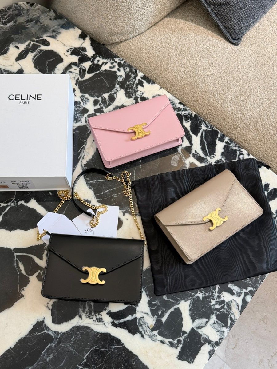 Celine Handbag 655