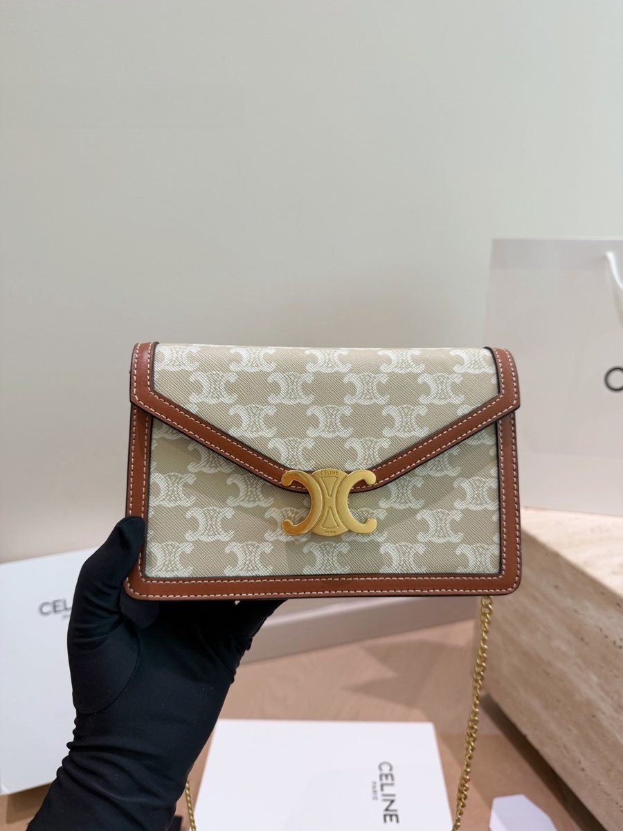 Celine Handbag 656