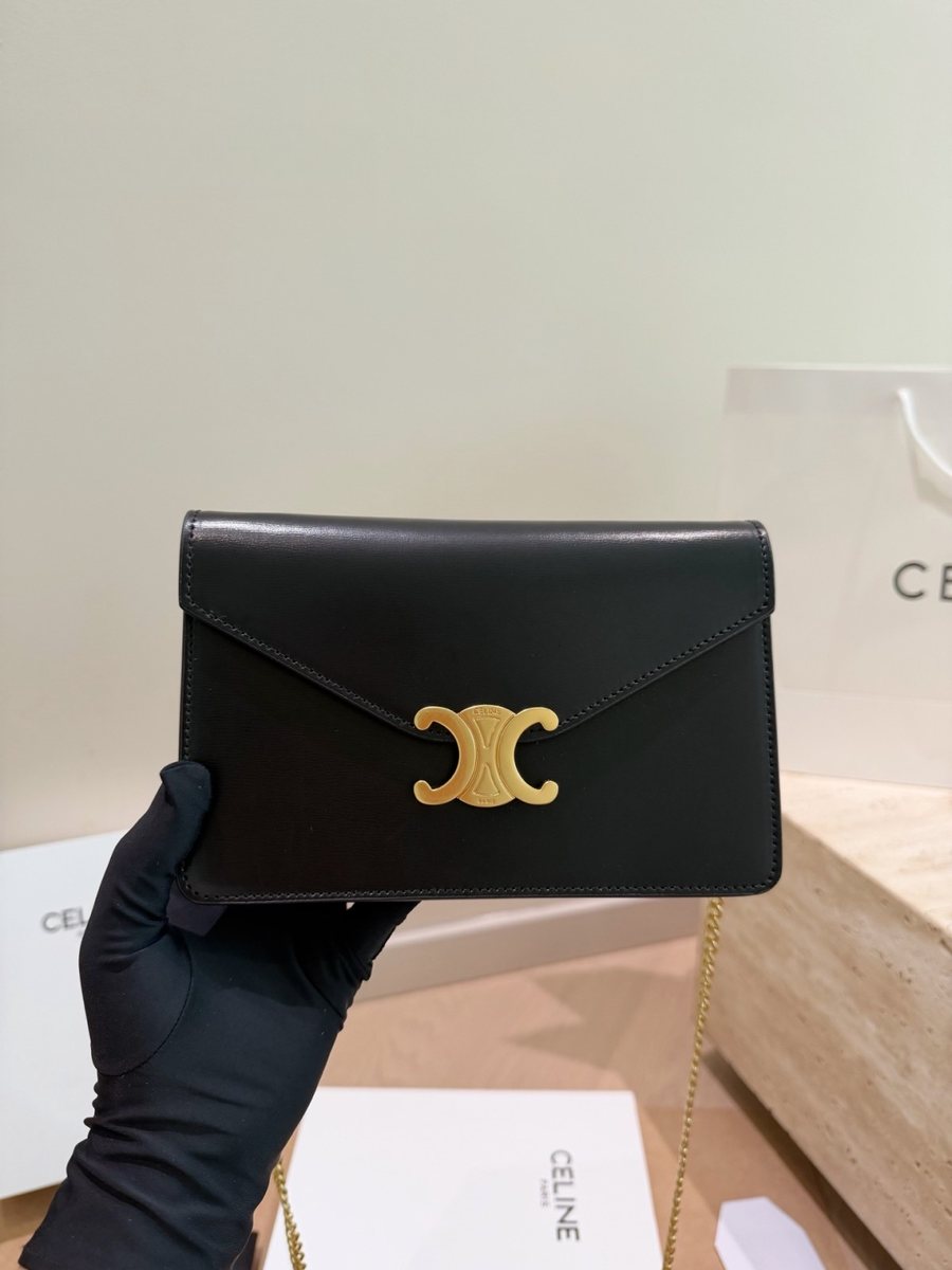 Celine Handbag 657