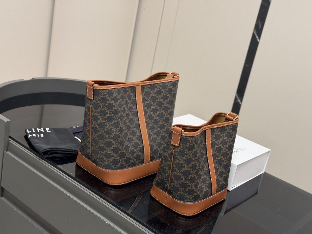 Celine Handbag 667