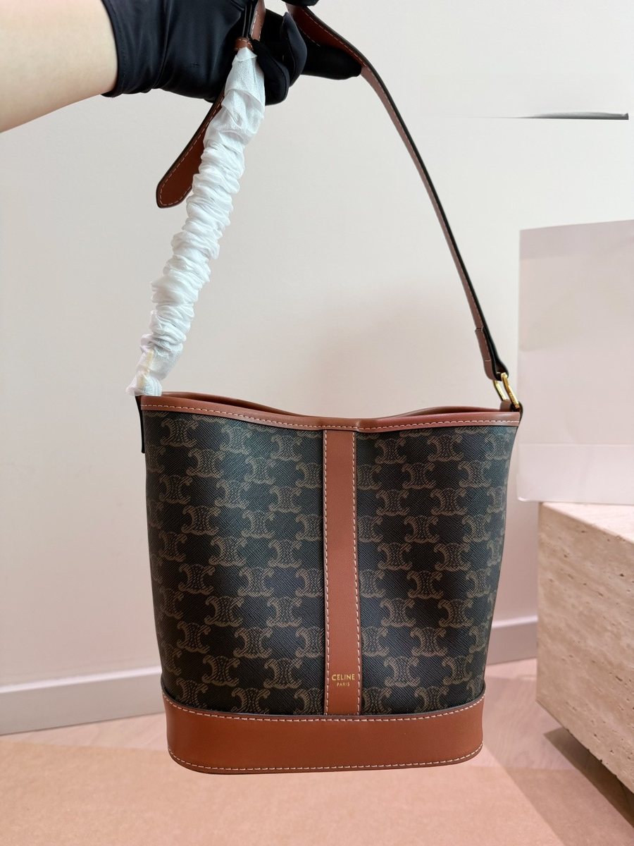 Celine Handbag 672