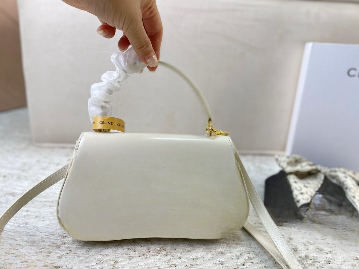 Celine Handbag 673