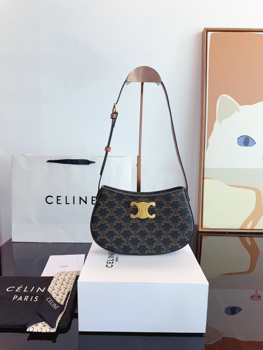 Celine Handbag 674