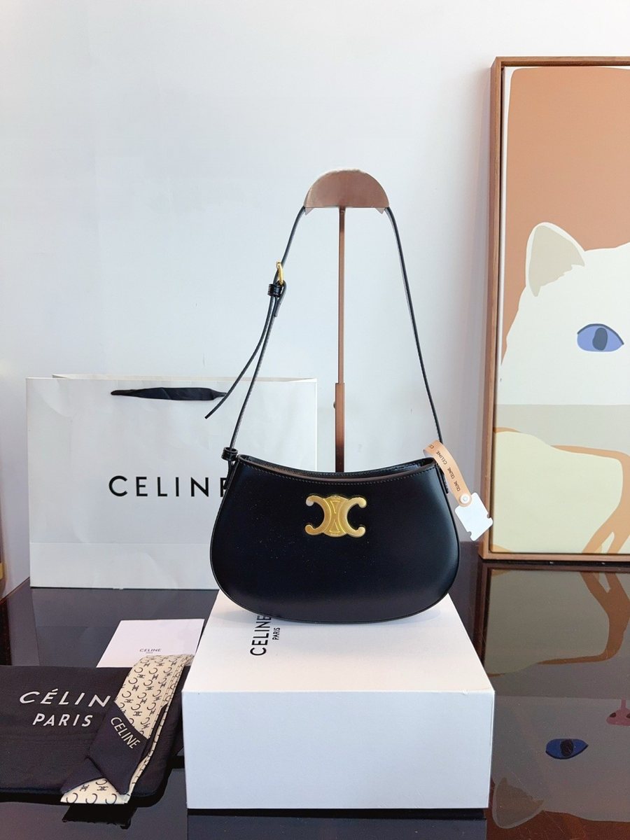 Celine Handbag 675