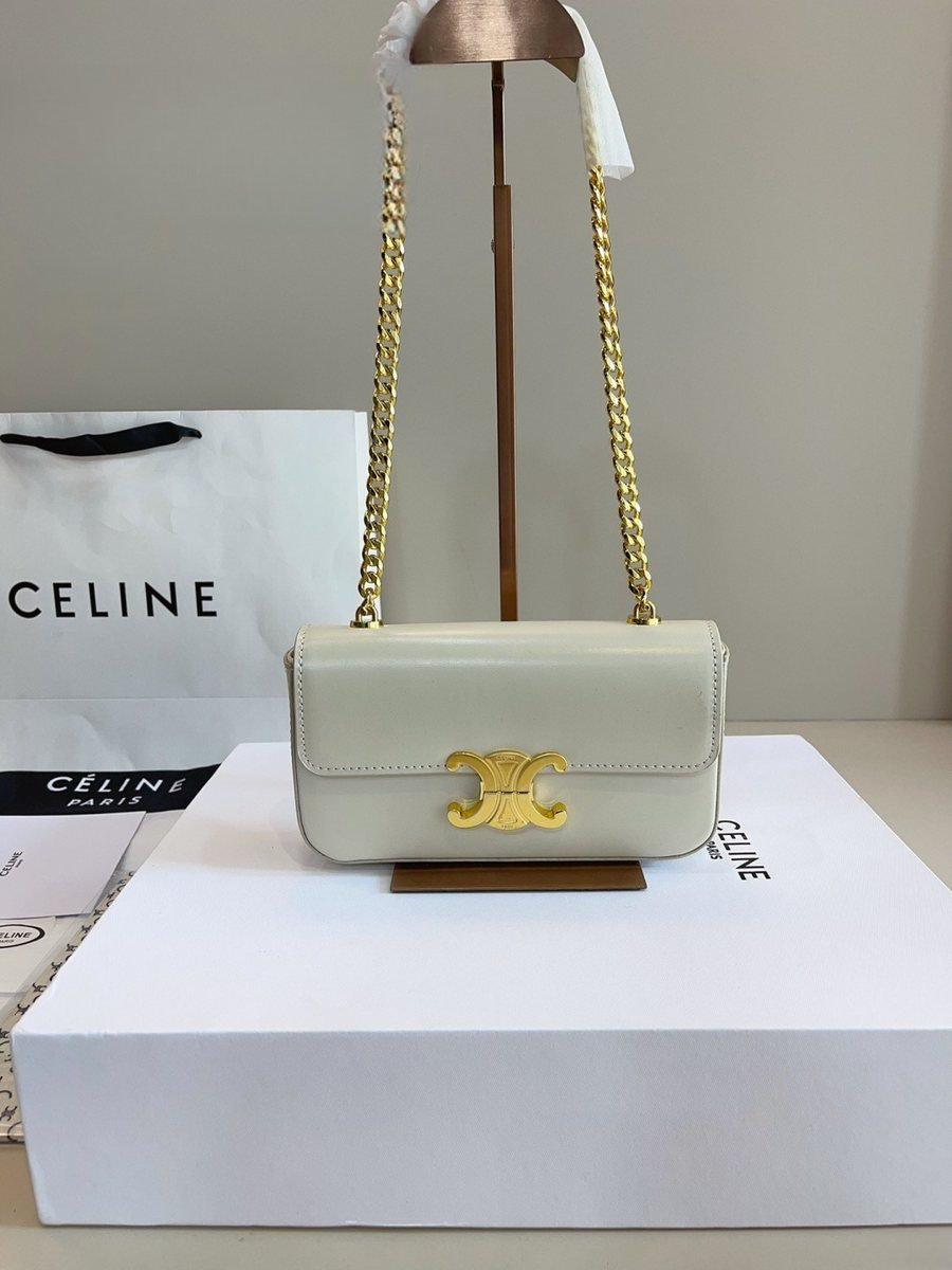 Celine Handbag 676